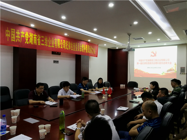 三維企業(yè)召開紀(jì)律檢查委員會(huì)增補(bǔ)委員選舉大會(huì)