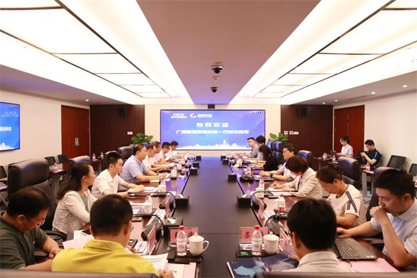 廣西國(guó)資委調(diào)研組一行到訪我司